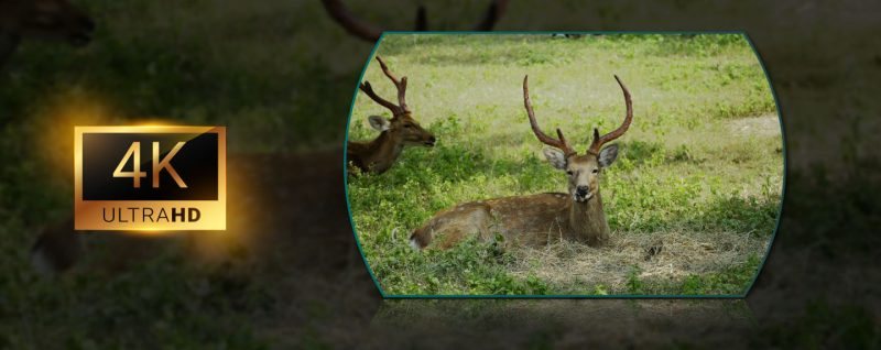 Pixfra Draco D335 4K 850 nm – fotografija 4