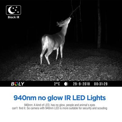 Bolyguard BG636-48M – fotografija 4