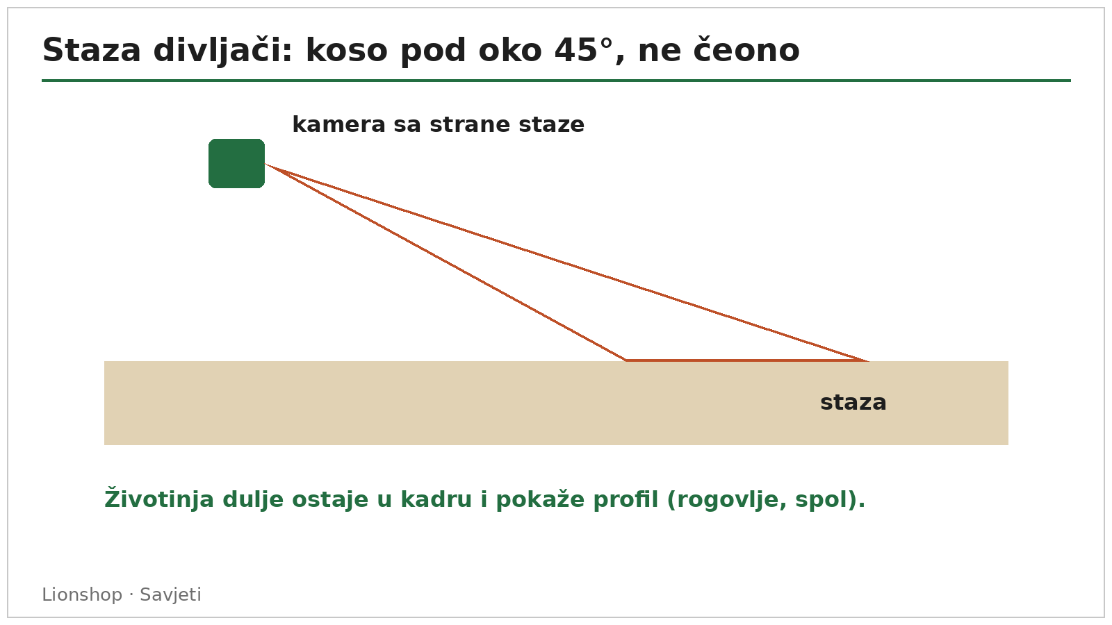 Dijagram kosog postavljanja lovačke kamere uz stazu divljači