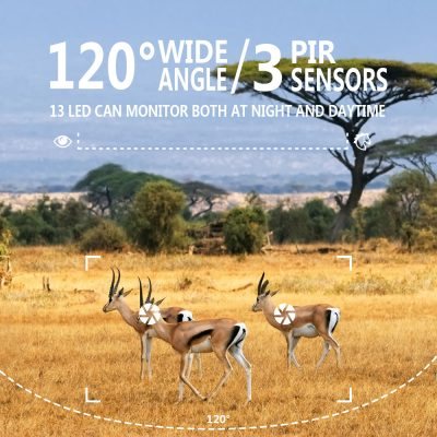 Liontek Pro 5000 – fotografija 5