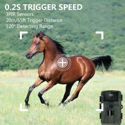 Liontek Pro 5000 – fotografija 3