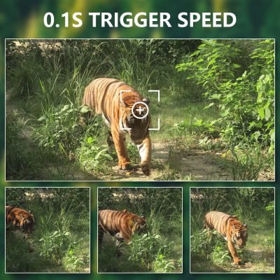 Liontek Pro 5000 – fotografija 4