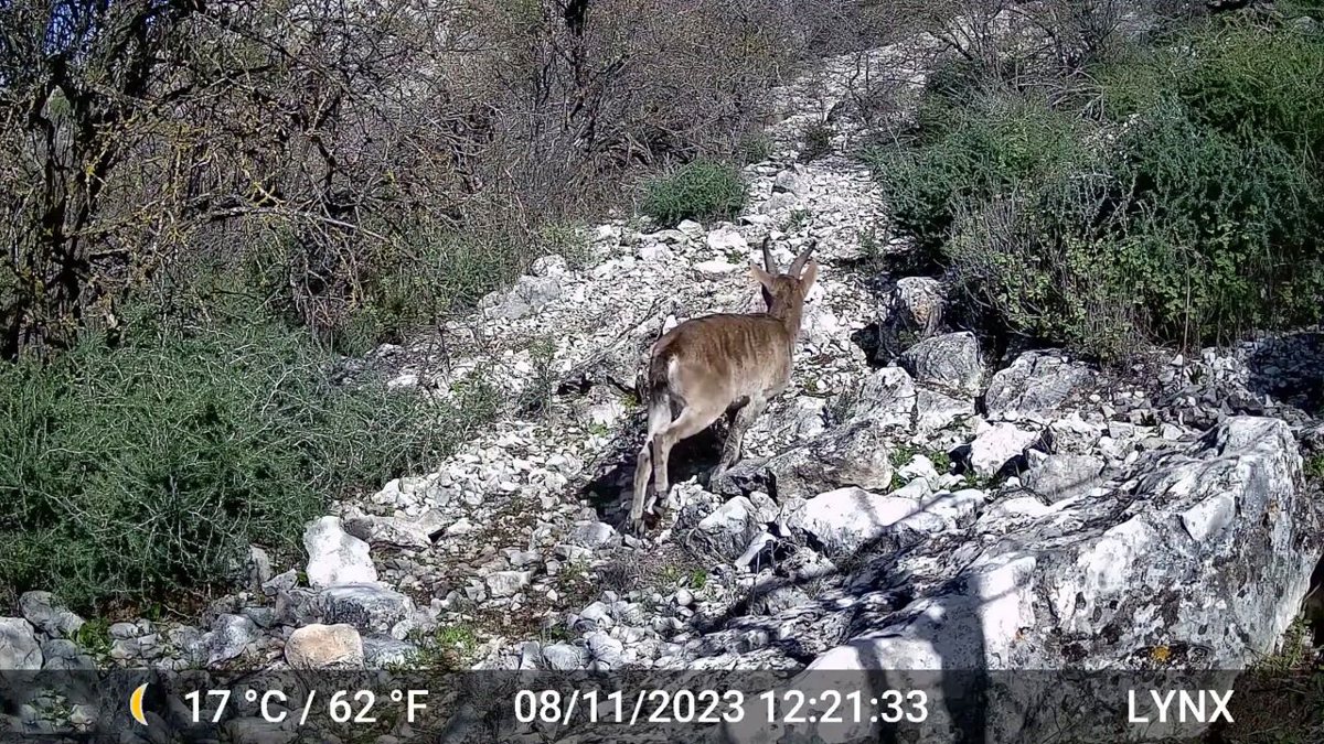 Gardepro X80 Pro GPS Live – fotografija 4