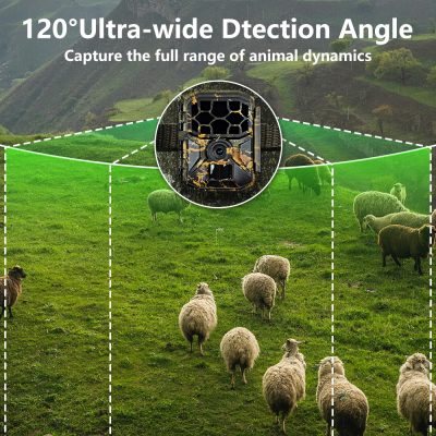 Liontek Wide Solar Pro – fotografija 4