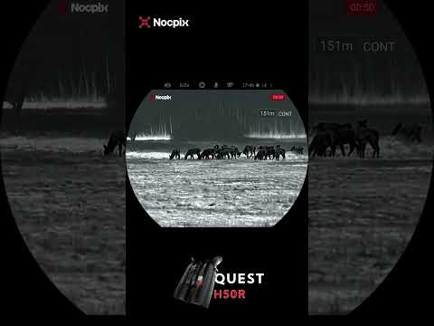 Clearer, Smoother, Nocpix QUEST